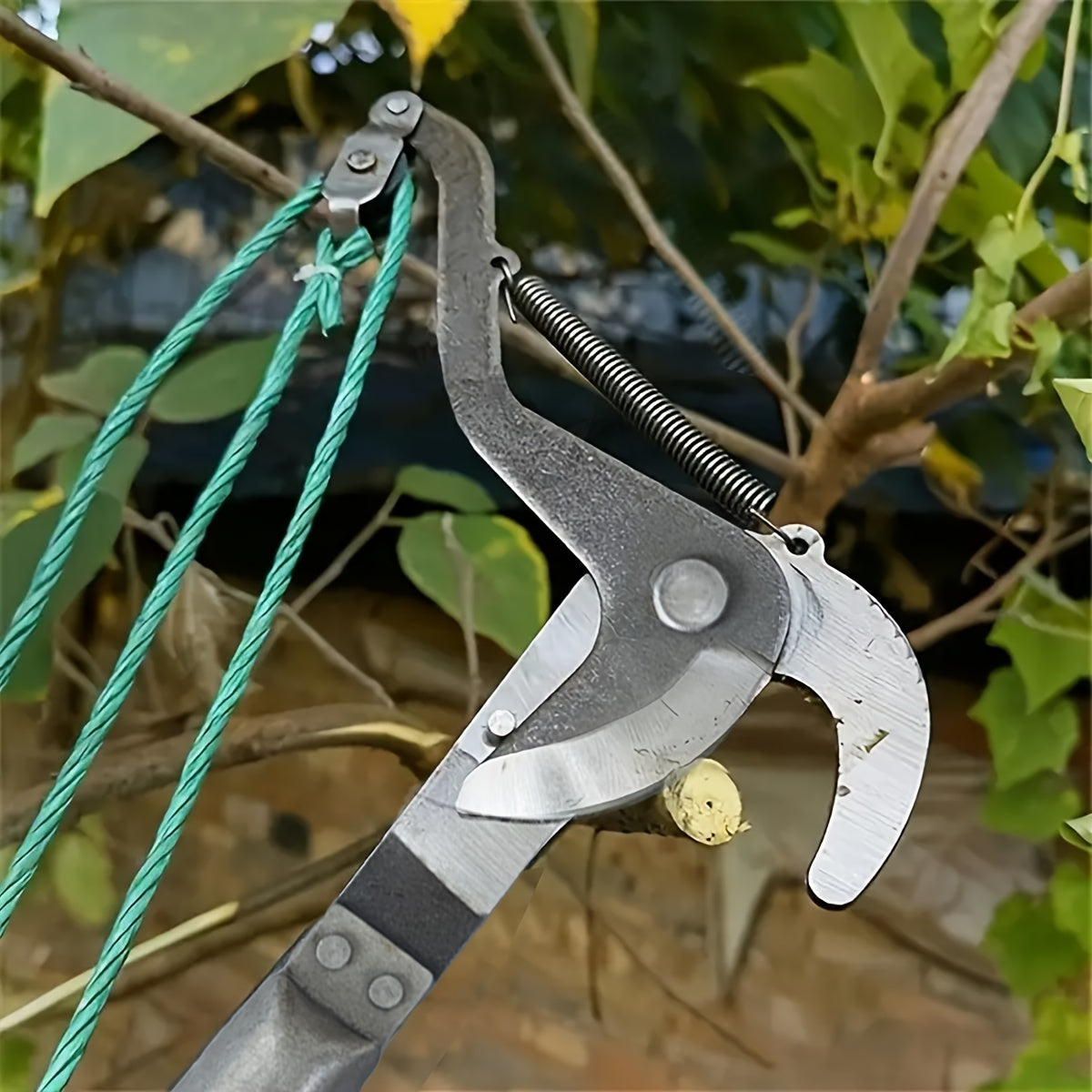 High Carbon Steel Pruning Shears, 32.0 cm - Modern Style, Cordless Pruner with Pulley Design and Cord for Fruit Trees