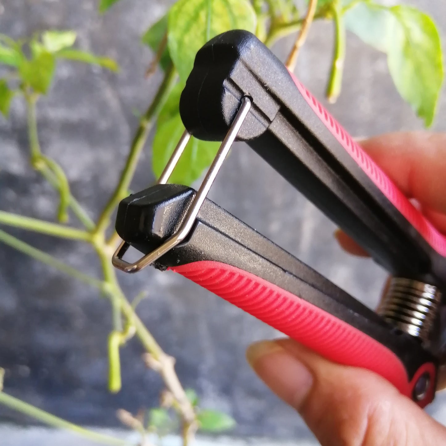 1-Pack Stainless Steel Gardening Pruners, Manual Pruning Shears, Garden Scissors for Quick Pruning of Plants, Vegetables, Bonsai, Flowers, Garden Supplies