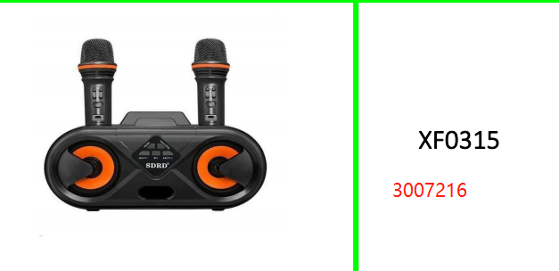 Wireless Bluetooth Karaoke Speaker SD303