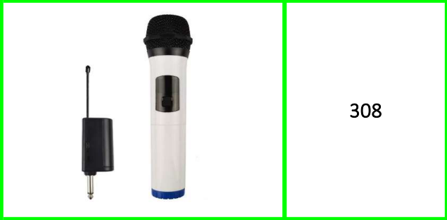 Professional Wireless Microphone