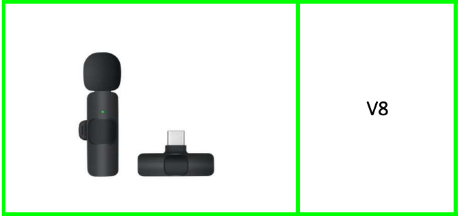 Type C Wireless Microphone