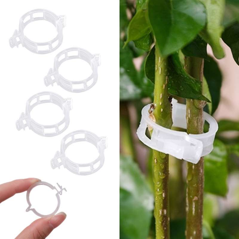 30 Pieces Tomato Clip
