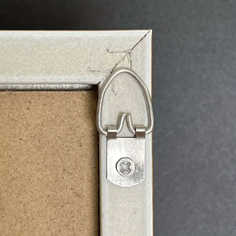 Metal D-ring picture hanger (with screws)