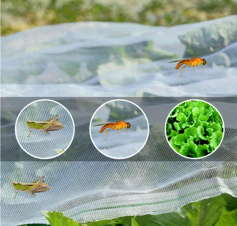 Ultra Fine Mesh Insect Screen Clear