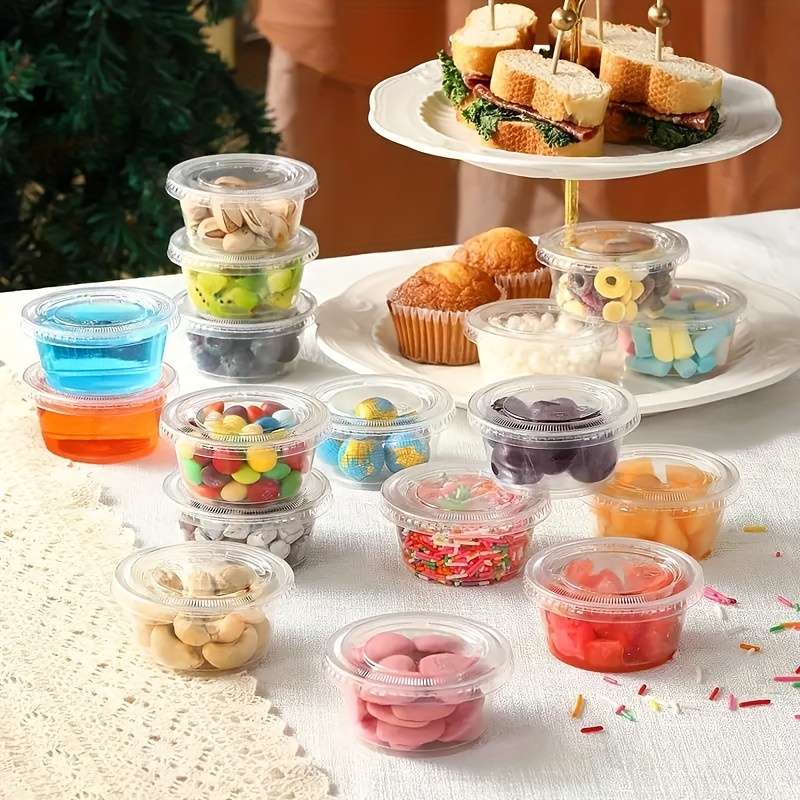 Portable plastic container with lid