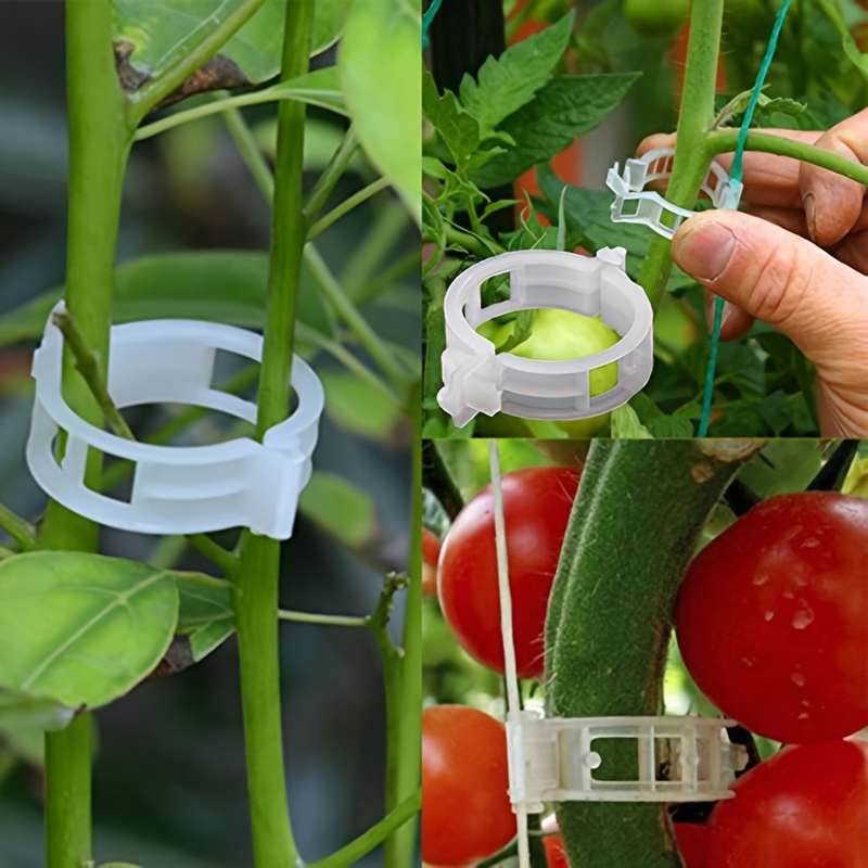 150 tomato clips