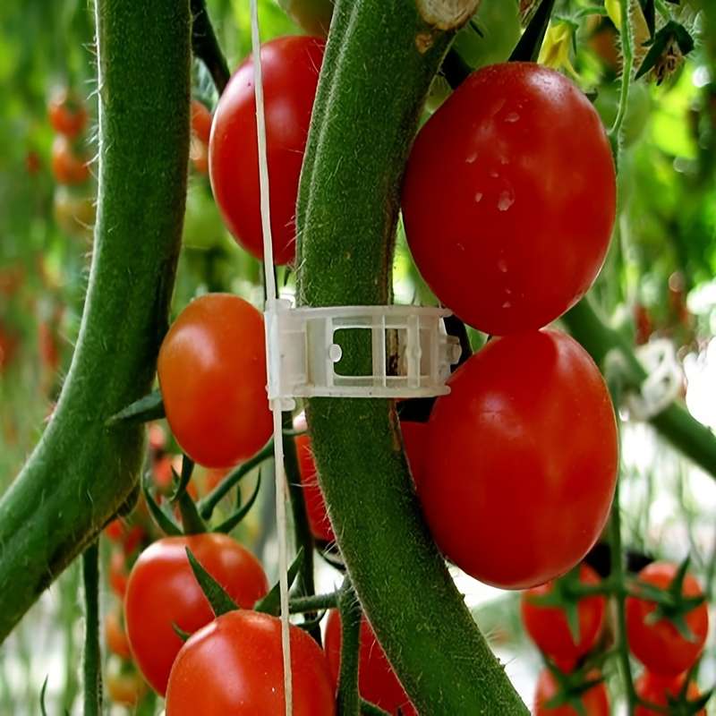 150 tomato clips