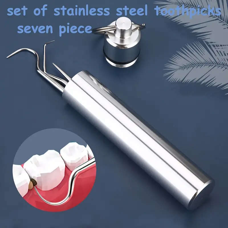 7-piece stainless steel toothpick set