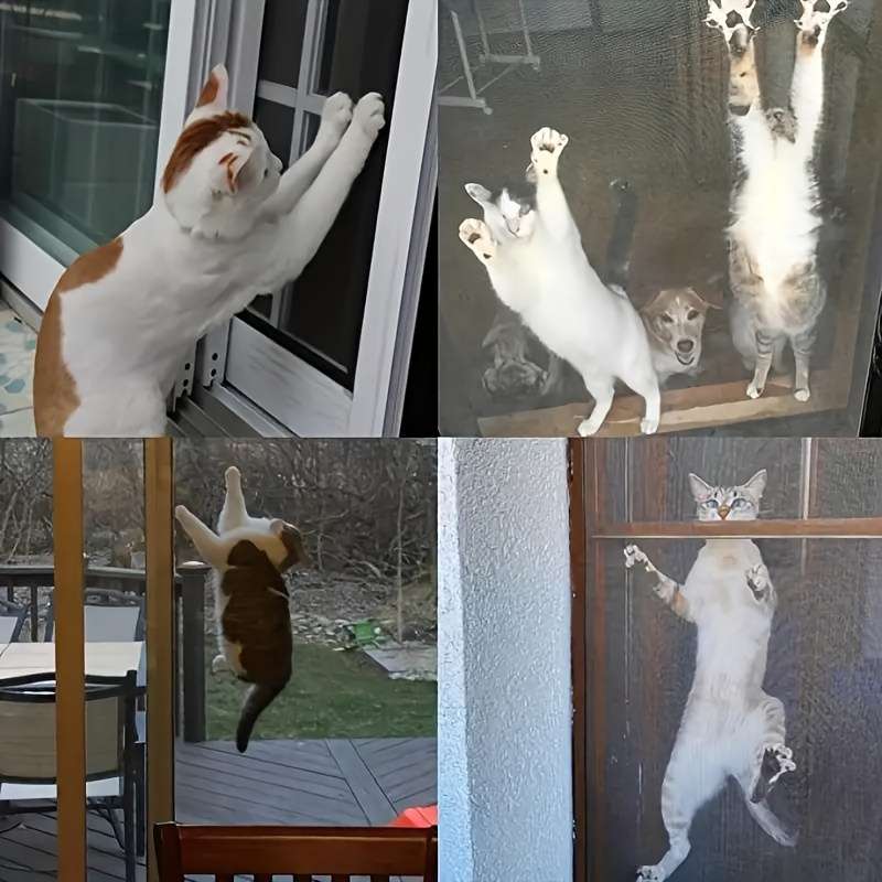 Home Fly Screens - Keep Pets Out with Easy-to-Install Screens