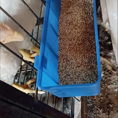 6-pack poultry feeding hanging bowls