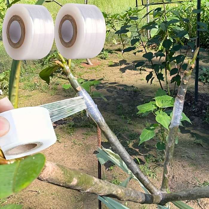 Strong adhesive fruit tree grafting tape