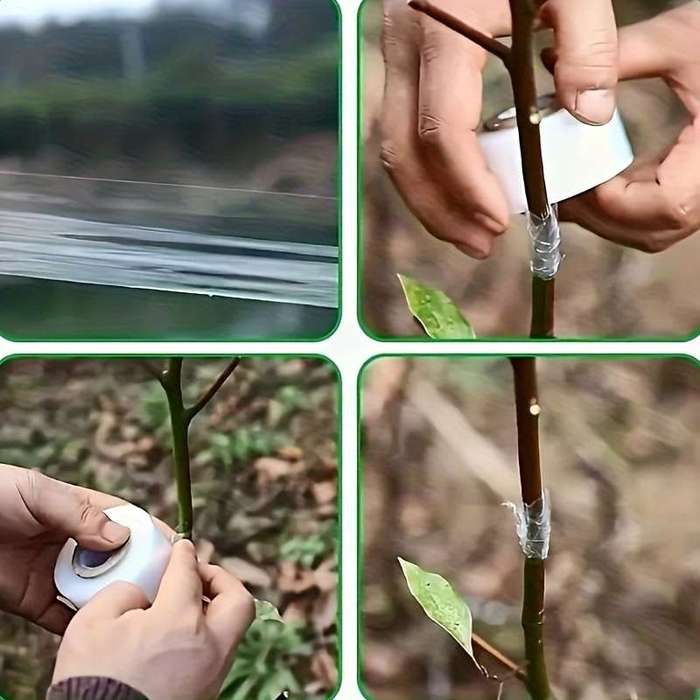 Strong adhesive fruit tree grafting tape