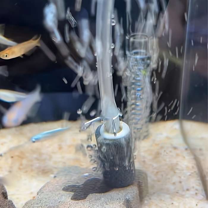 20 stainless steel aquarium oxygen hose clamps