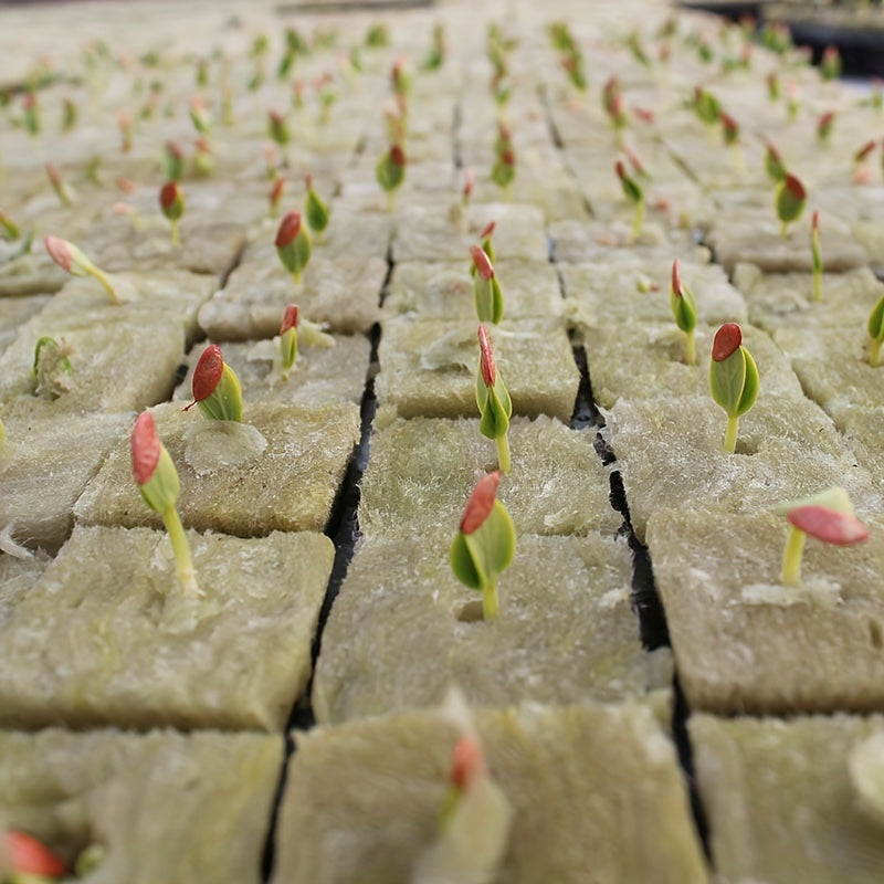50 pieces of soilless cultivation substrate plant propagation seedling blocks plant rock wool substrate hydroponic seedling blocks, 25*25*25 mm