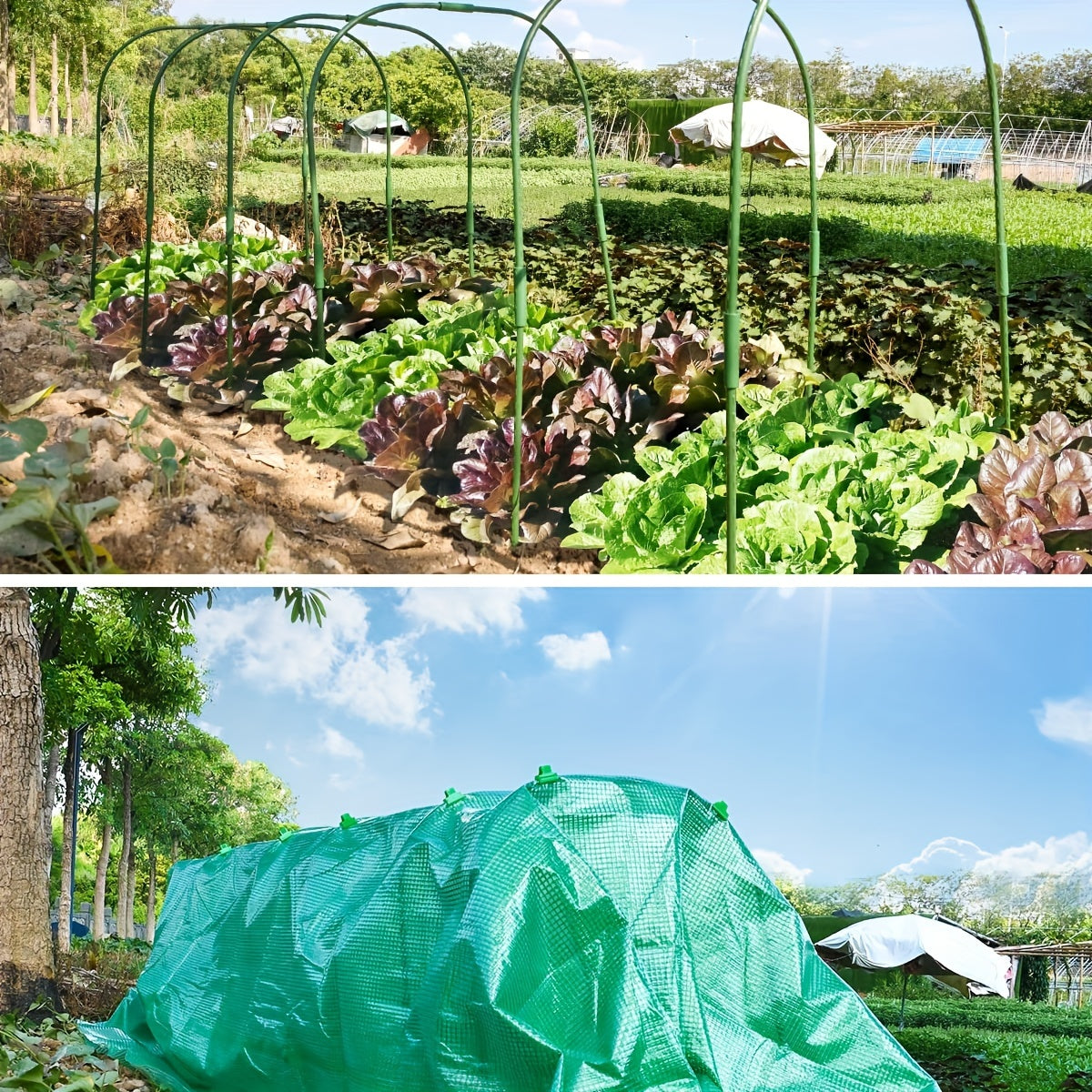 Heavy Duty Green Transparent Tarp -, UV and Waterproof Plastic Cover,