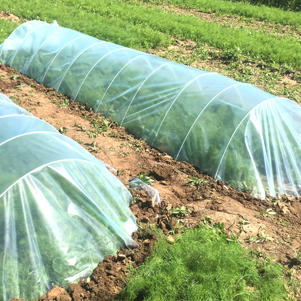 Pe Material Transparent Winter Heat Insulation Cover - Transparent Waterproof Tarpaulin,