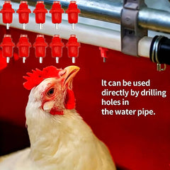 Automatic Chicken Waterer(10PC)