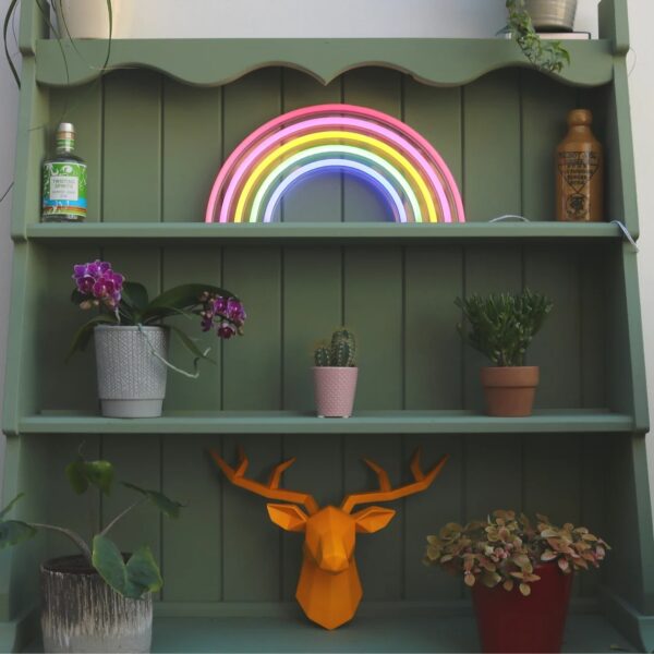 C-12 Rainbow Neon 15″ Wall Mount Display Sign