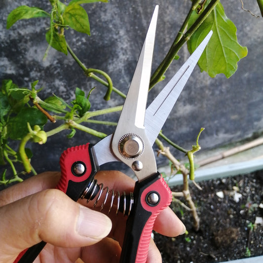 1-Pack Stainless Steel Gardening Pruners, Manual Pruning Shears, Garden Scissors for Quick Pruning of Plants, Vegetables, Bonsai, Flowers, Garden Supplies