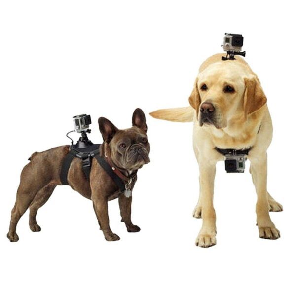Pet Photography Bracket Chest Strap