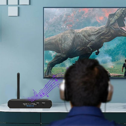 D09 Wireless DAC Audio Digital To Analog Audio Converter With Bluetooth Receiver Transmitter