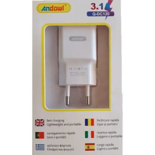 Andowl iPhone Charger