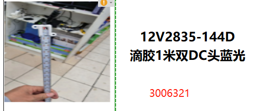 "12V2835-144D 滴胶1米双DC头蓝光 "