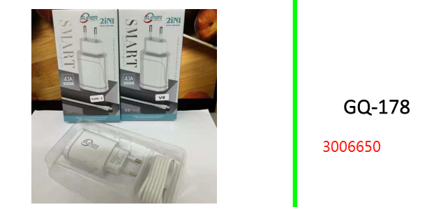 Micro USB 2 Ports Charger