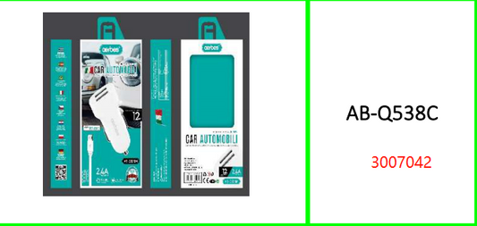 12W 2.4A Car Charger with 2 USB Port  and 1M Type C Cable
