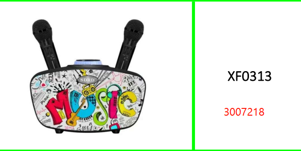 Wireless Bluetooth Karaoke Speaker  SD314