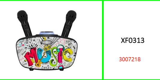 Wireless Bluetooth Karaoke Speaker  SD314