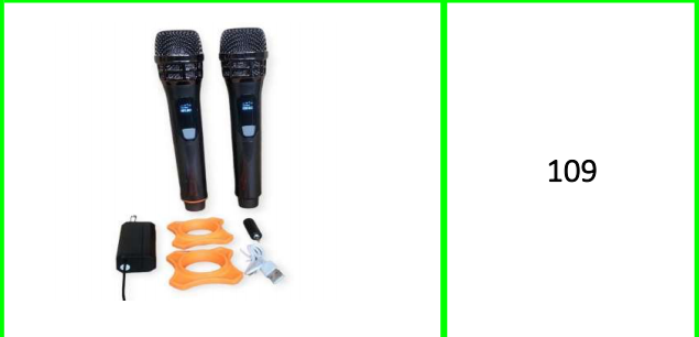 Professional Universal Dual Wireless  Microphone
