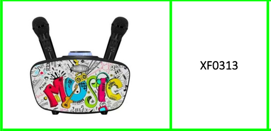 Wireless Bluetooth Karaoke Speaker  SD314