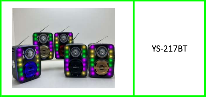 Rechargeable RGB Bluetooth MP3  Speaker with FM/AM/SW Radio USB  Port, Micro SD Card Slot Aux Input &  Torch