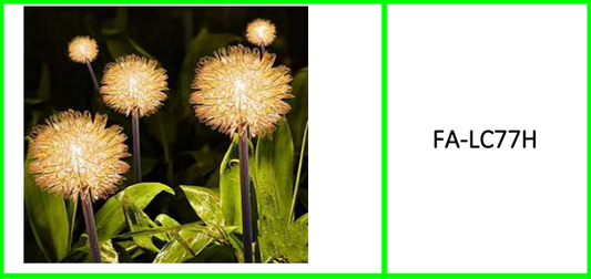 Solar Powered Aluminum Dandelion  Light Warm White 2 PCS
