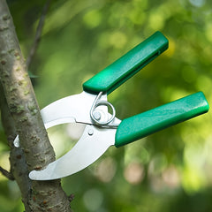 Professional Stainless Steel Grafting Tool with Bark Cutter & Ring Knife   Heavy Duty Pruning Scissors for Fruit Trees  Vines  and Ornamental Plants  Durable Garden Shears For Orchard & Vineyard Maintenance  Classic Design  Ambidextrous Use