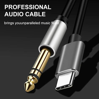 SE-LT23 TYPE C TO TRS6.35 Cable 1.5M