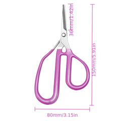 Heavy Duty Professional Garden Pruning Shears   Stainless Steel Floral & Branch Trimming Scissors with Sharp Blades  Ergonomic Grip   for Roses  Sunflowers  Shrubs  Trees   Ideal for Home & Commercial Landscaping  Floral Arrangements  Gardening   Durable