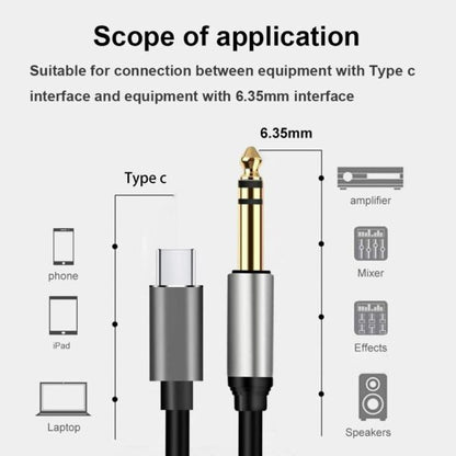 SE-LT23 TYPE C TO TRS6.35 Cable 1.5M