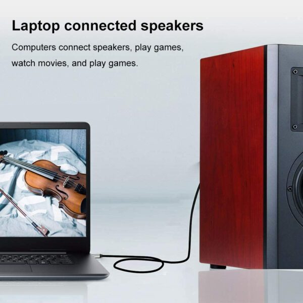 SE-LT23 TYPE C TO TRS6.35 Cable 1.5M