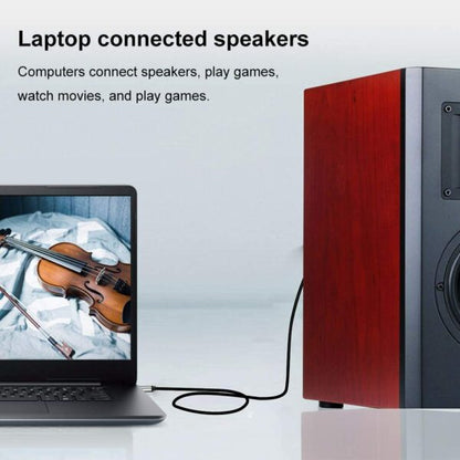 SE-LT23 TYPE C TO TRS6.35 Cable 1.5M