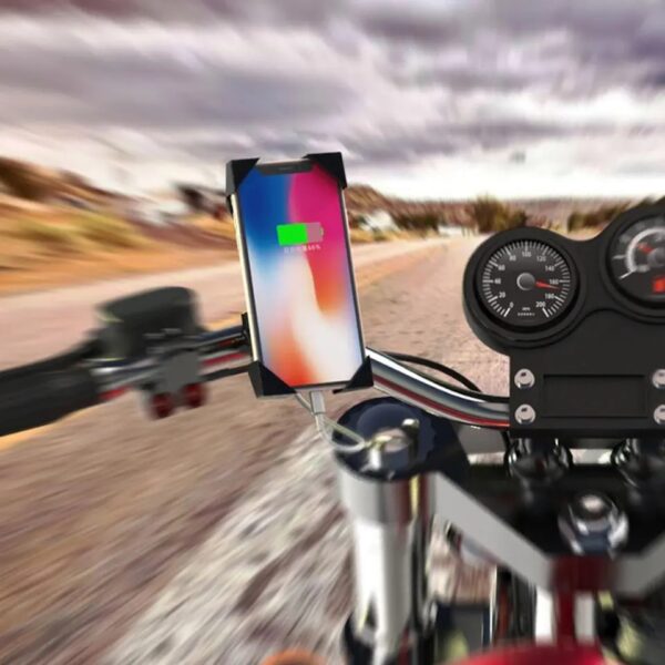 Ananas AS-50494 Universal Bicycle Phone Holder