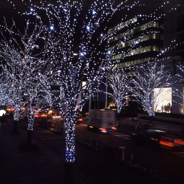 LED Inter-Connecting Black Cable Fairy Light White 20M