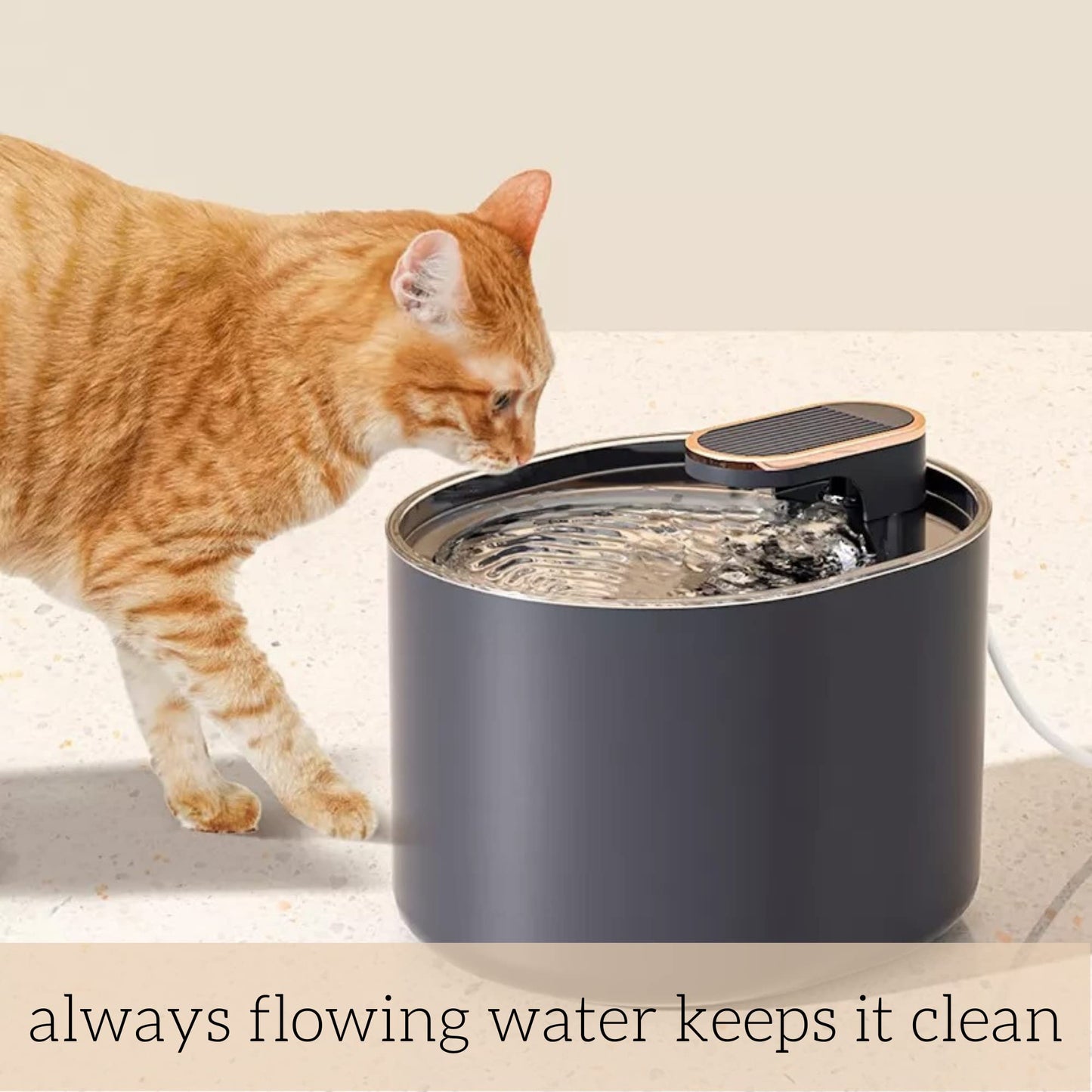 Automatic Pet Water Feeder for Dogs and Cats. 3L Capacity with Water Filter | Runs Silently and Kills 99.97% of impurities and Bacteria to Provide Oxygen Rich Water