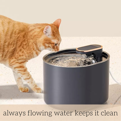 Automatic Pet Water Feeder for Dogs and Cats. 3L Capacity with Water Filter | Runs Silently and Kills 99.97% of impurities and Bacteria to Provide Oxygen Rich Water