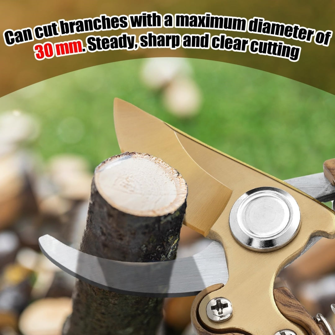 Heavy Duty Carbon Steel Gardening Pruning Shears with Ergonomic Non Slip Handle & Sharp Serrated Blades   Professional Florist Clippers  Manual Hand Pruners for Trees  Shrubs  Hedges  Roses  Flowers   Durable Metal Construction with Locking Mechanism & Sh