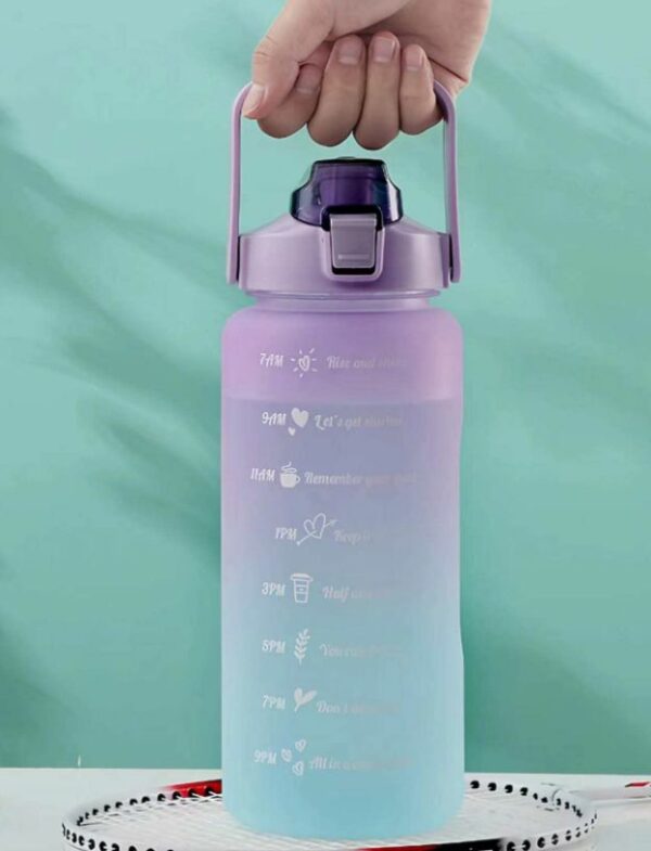 1831531 Set Of 3 Motivational Water Bottle