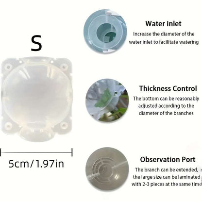 10-Piece Plant Root Growth Box