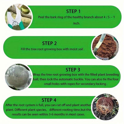 10-Piece Plant Root Growth Box