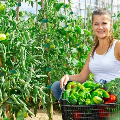 5m Reusable Nylon Plant Ties